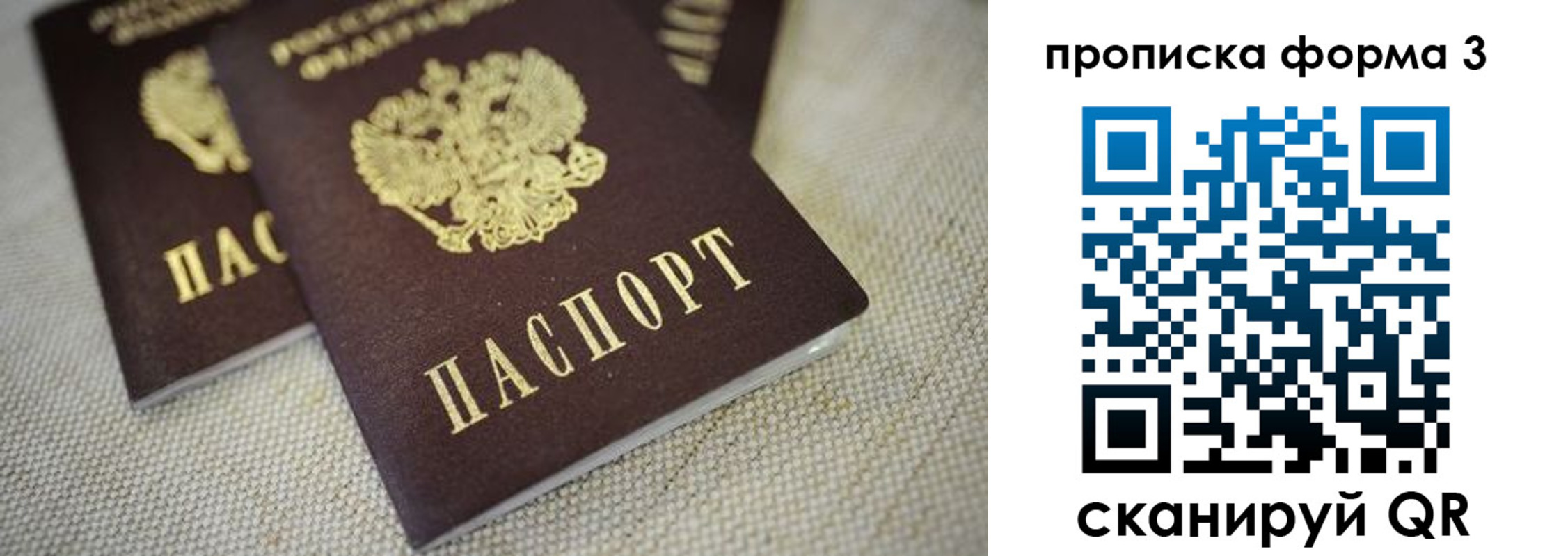 прописка поиск в Строителе